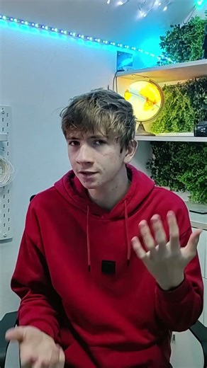 How to start sim VR racing on a budget