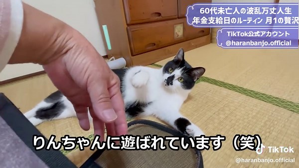 60代一人暮らしの年金ルーティンと贅沢