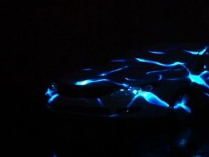 Car Mapping 3D projection Renault Latitude Test