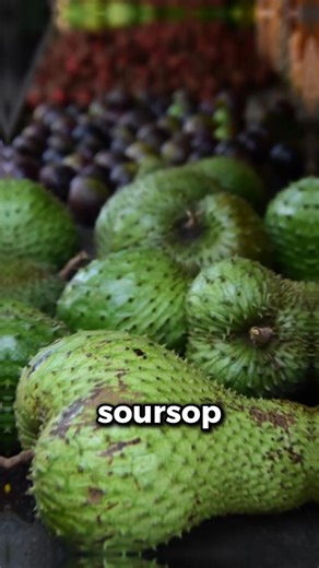 10 Best fruits to eat daily for immunity, brain, heart and gut #wellness #health #fruits