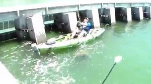 10K views · 84 reactions | WHAT A CATCH!!!!! www.duckhuntingaustralia.com.au | Duck Hunting Australia | Facebook