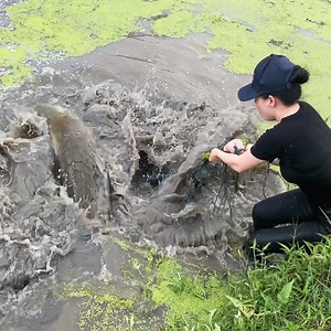 Amazing Cast Net Fishing Skills vs. Giant Fish | Emma's Fishing