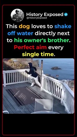 Dog Owner's Playful Water Revenge on His Brother 😂🐕