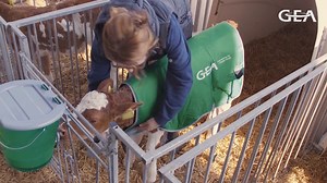 High milk quality begins with raising new born calves with care by using GEA branded dairy supplies. GEA offers accessories to feed calves and a blanket to help keep them warm any time of the year. Get in touch with your GEA dealer today to learn about GEA branded hygiene product for calf. Stay tuned for more GEA branded dairy supplies to come! At GEA, we know how to milk cows!🐄 | GEA Farming - Canada