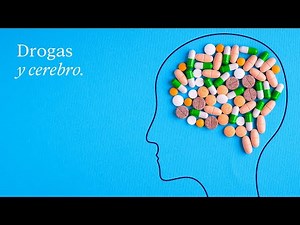 How do drugs affect the brain? | EduCaixa