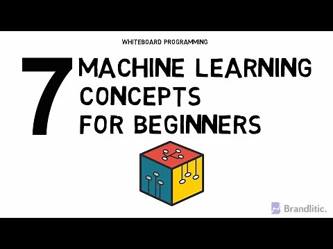 7 Basic Machine Learning Concepts for Beginners | Basic ML Concepts