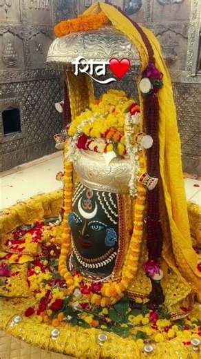 शिव बैरागी शिव अनुरागी#mahadev#mahadevstatus #mahakal #mahakaldarbar#shivshankar#shortvideo