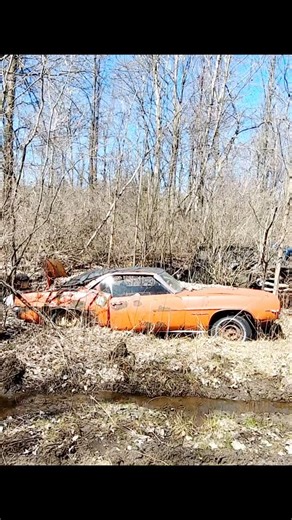 The thing that dropped today has a lot of Camaro love from the yard in Michigan. So sad to see them rotting, but happy to hear they are selling. Info in the video! #autoarchaeology #camaro #chevy #musclecars #junkyard #barnfind #barnfinds | The Auto Archaeologist