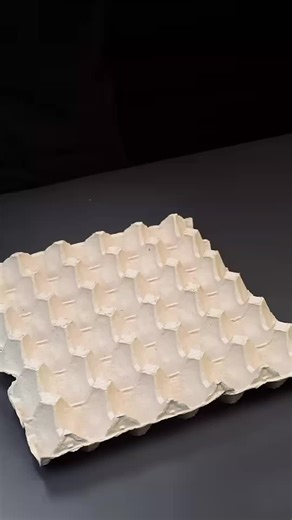 Delicious American Food ASMR Experience