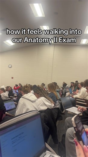 I volunteer as tribute at this point 🫠 #nursingstudent #anatomy #stem | anatomy