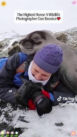 Wild Animals Meet Photographers - Funny Encounters