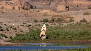 As Lake Mead dries up, its history and dark secrets are being uncovered