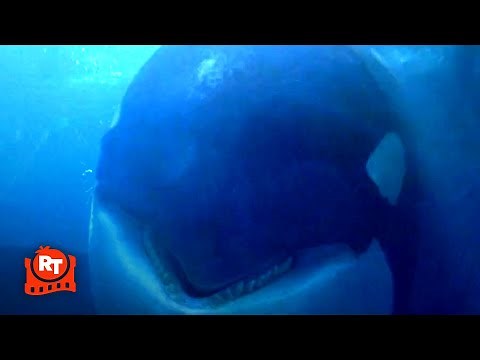 Free Willy - Oh No, Willy Gets Scared!
