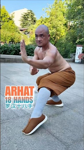 Shaolin Arhat 18 Hands ☯️ The Foundation of Real Kung Fu (少林罗汉十八手)