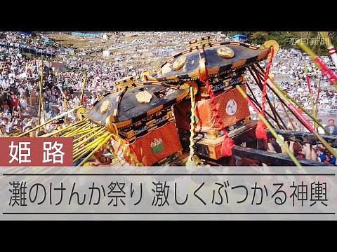 灘のけんか祭り 見せ場は神事「神輿合わせ」