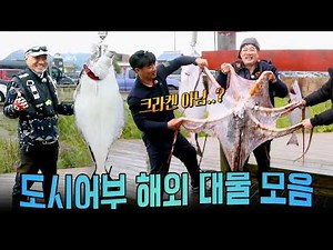 도시어부 해외 낚시 레전드⚡ 괴물급 대물만 모았다! 몰아보기.zip | #도시어부