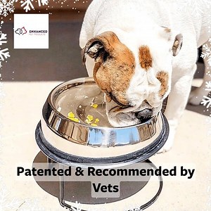 550 reactions · 239 shares | Is Your Bulldog fighting with his food as he gasps for breath, frantic to get every morsel, leaving a mess? That's because the shape of his bowl is not made for the shape of his face. Introducing the Enhanced Pet Bowl: the best bowl for flat-faced breeds. Less gas, less mess: what's not to love? Purchase our bowl today for your fur baby! https://enhancedpetproducts.com/pages/enhanced-pet-life | Enhanced Pet Products | Facebook
