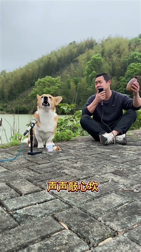 Have you ever heard the song "Dream Camel Bells" sung by a human and a dog?