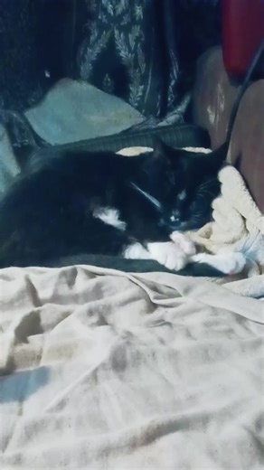 Tim Mclaughlin (@tim.mclaughlin)’s videos with Amazing Grace - Alan Jackson