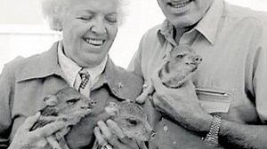 Tucson Time Capsule : Lee Marvin helps animal rehab