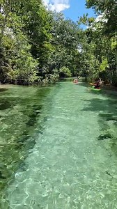 Exploring Florida's natural spring waterways 💦 #paradise #Springs #stateparks #florida #fishinglife #pov #fblifestyle #boating #jetski #manatees | La Guera