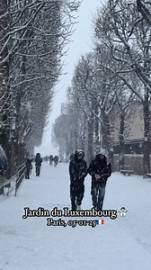 Jardin du Luxembourg, Paris ☃️❄️🌨️🇫🇷 #love #travel #adventure #Paris #France #beautiful #view #LANEIGE #followersreels | Paris France Tour