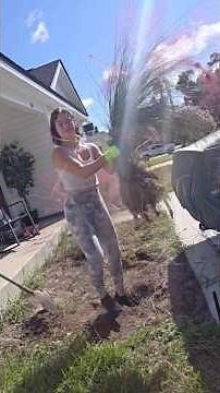 Front Garden Makeover 🌸 #gardenlife #garden #gardening #landscaping