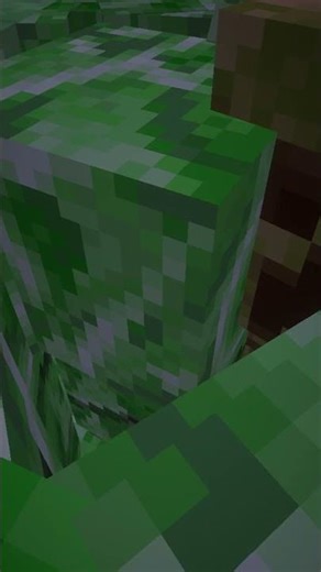 Minecraft Physics are Beautiful: Creeper Slow Mo ✨ #minecraft
