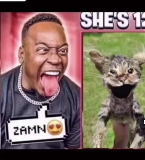 Exploring the Popularity of the 'ZAMN She's 12' Meme