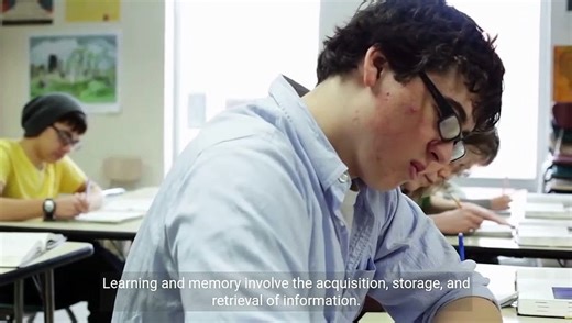 Exploring Neurobiology - Understanding the Complexities of the Brain (4 Minutes Microlearning)