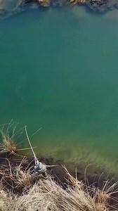 70K views · 10K reactions | Built Different  American Made Fishing Line  Since 1915  | Cortland Line | Facebook