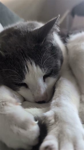 polishing a Yamaha APX600 until it sings again #guitarcommunity