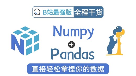 【全37集】学Numpy和Pandas看这个教程就够了（全程干货）python数据分析中最重要的两大板块给你讲的明明白白！