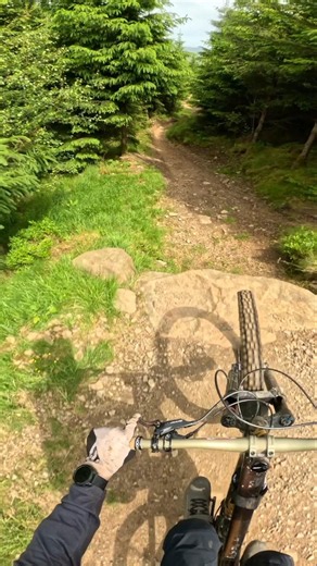 Almost landed on a squirell! #mtb #downhillmtb #mountainbike