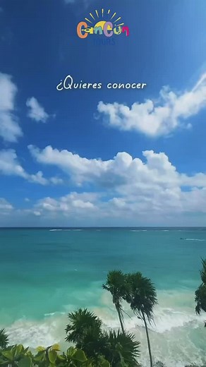 ¡Descubre la magia del Caribe Mexicano 🌴✨ con nuestro tour TULUM Casa Tortuga! Este emocionante viaje 🚀 sale todos los días y te llevará a explorar la impresionante zona arqueológica de Tulum 🏰, donde un guía experto te sumergirá en la historia y la cultura maya 📜. Te ofreceremos un delicioso box lunch 🍱 para disfrutar mientras contemplas la belleza natural del lugar, ¡incluyendo una foto inolvidable 📸 en la madre naturaleza de Tulum! Después, relájate en los increíbles cenotes de Casa Tor
