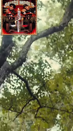 i.review.music1 on TikTok