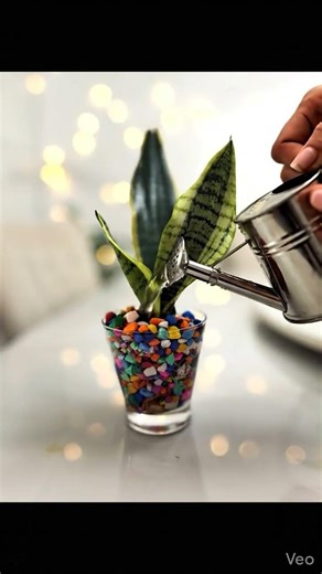 💧 Hidroponía relajante: Montando mi rincón verde #asmr #shorts