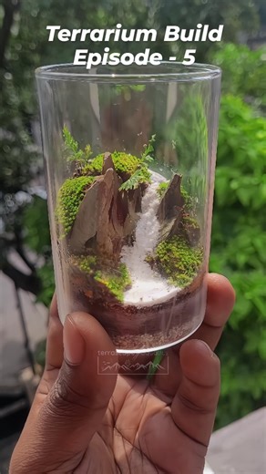 Terrascape Aquatics on Instagram: "Built another beautiful terrarium, Terrarium build - Episode 5 🪴🤍🤩 📩 To order: DM us with: •Your name and full address •Phone number for delivery updates •Confirm the product of your choice from the list •Proceed with online payment •Once we receive your payment then we'll start processing to ship your order. 🚚 Shipping charges are extra . #gardening #miniature #closedterrarium #mossterrarium #plants"