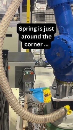 Is Spring Almost Here?!