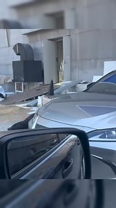 Sea lion snatching parking space. #fblifestyle | Fluffy land Animals