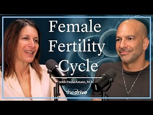 Female Fertility Cycle: Ovulation to Implantation | Paula Amato, M.D.