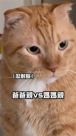 【貓皇的差別待遇】爸爸親 VS 媽媽親