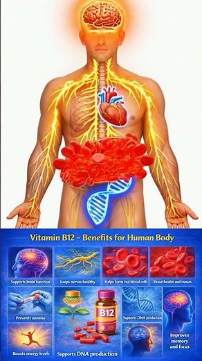 Vitamin B12 Benefits for the Human Body | Brain, Energy & Blood Health benefits of vitamin b12