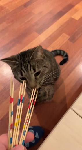 _m1ss_Bo_ (@bodil_aa)’s videos with original sound🎸🌄 - Jesusa