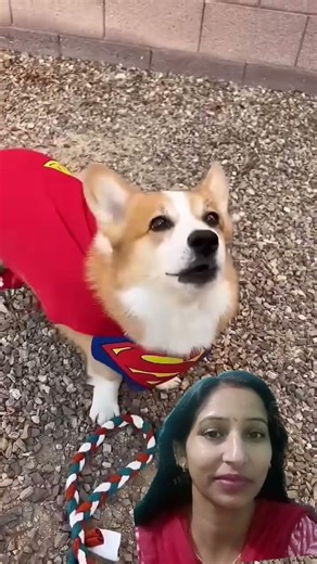 Water tank #comedy #trending #funny