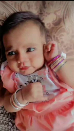 Exploring the Kava Kava Bar Experience