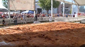 'A ton of schnitzel' breaks world record in Bavarian town of Mengkofen