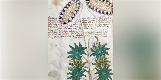The Voynich Manuscript: World's ‘most mysterious manuscript’ could be ancient encrypted message, study finds