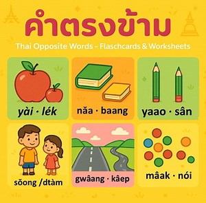 Flashcards mots opposés thaï-anglais : jeu de vocabulaire bilingue (téléchargement numérique) - Etsy France