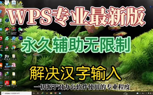 详细安装WPS专业增强版也是目前最新版本，永久辅助无限制不香吗？